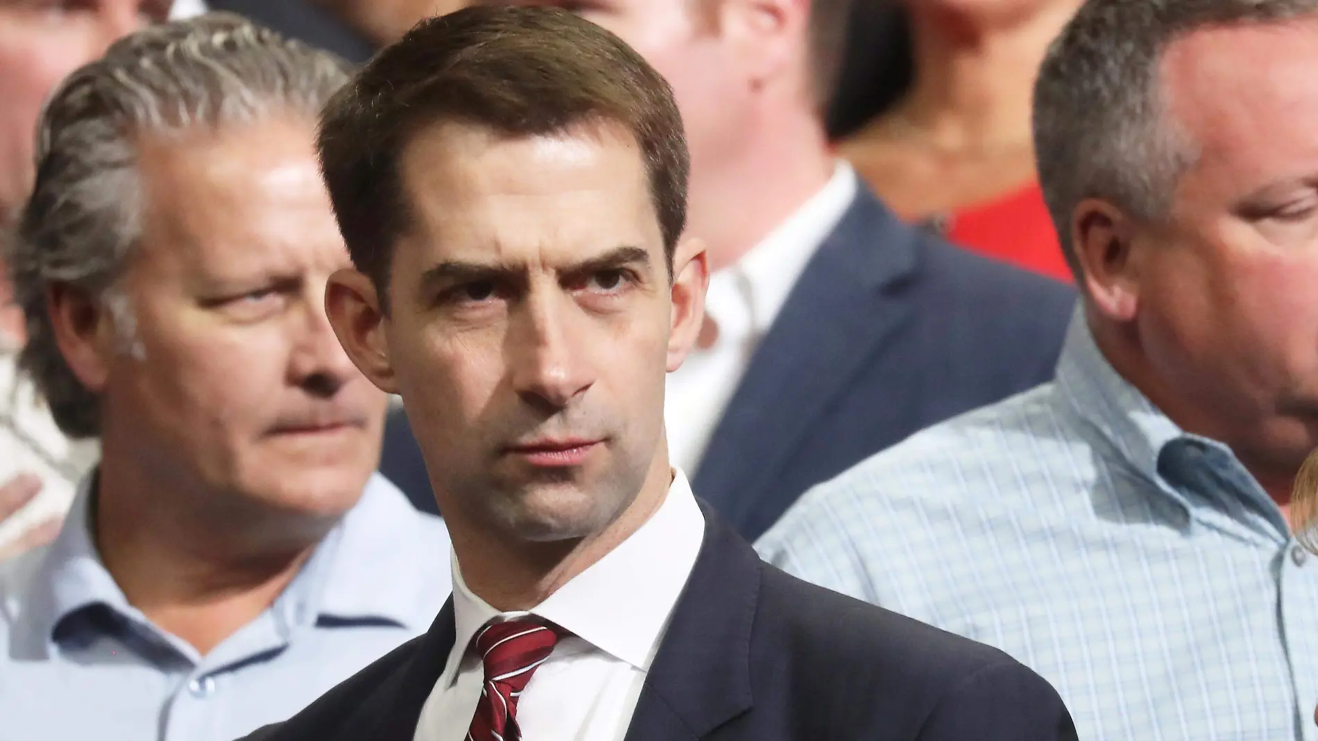 TOM COTTON reuters BN